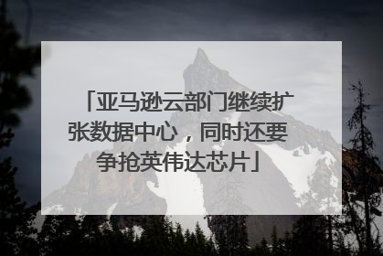 亚马逊云部门继续扩张数据中心，同时还要争抢英伟达芯片