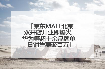 京东MALL北京双井店开业即爆火 华为等超十余品牌单日销售额破百万