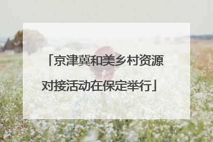 京津冀和美乡村资源对接活动在保定举行