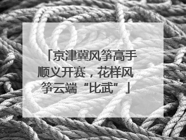 京津冀风筝高手顺义开赛，花样风筝云端“比武”