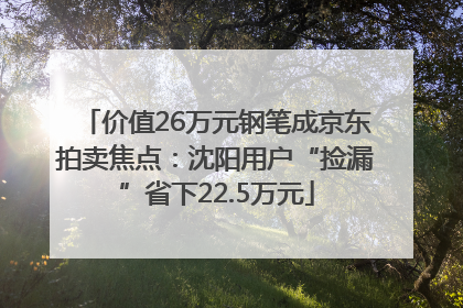 价值26万元钢笔成京东拍卖焦点：沈阳用户“捡漏”省下22.5万元