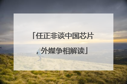任正非谈中国芯片，外媒争相解读