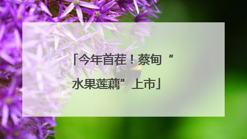 今年首茬！蔡甸“水果莲藕”上市
