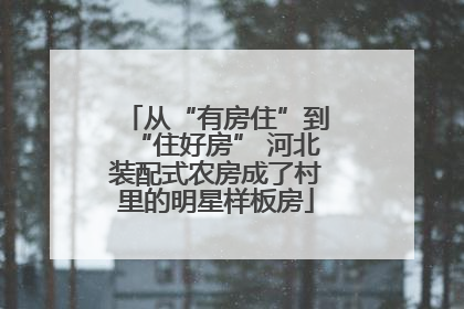 从“有房住”到“住好房” 河北装配式农房成了村里的明星样板房