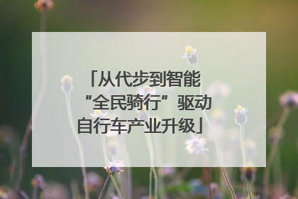 从代步到智能 “全民骑行”驱动自行车产业升级