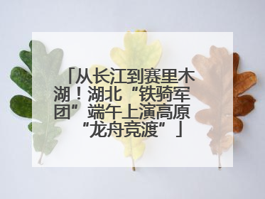 从长江到赛里木湖！湖北“铁骑军团”端午上演高原“龙舟竞渡”