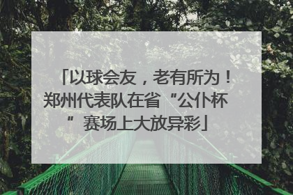 以球会友，老有所为！郑州代表队在省“公仆杯”赛场上大放异彩