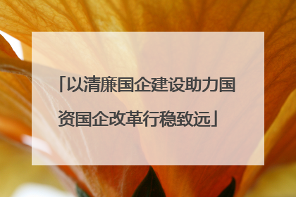以清廉国企建设助力国资国企改革行稳致远