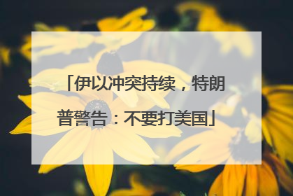 伊以冲突持续，特朗普警告：不要打美国