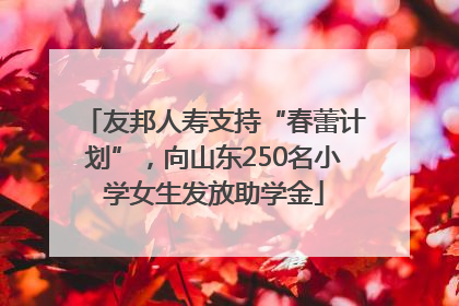 友邦人寿支持“春蕾计划”，向山东250名小学女生发放助学金