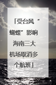 受台风“蝴蝶”影响 海南三大机场取消多个航班