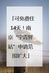 可免费住14天！南京“宁青驿站”申请范围扩大