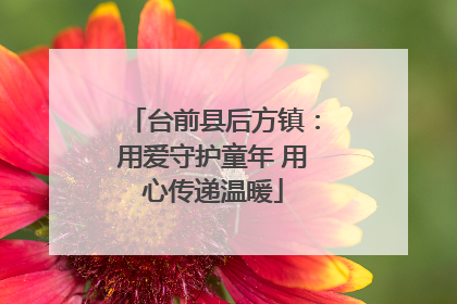 台前县后方镇：用爱守护童年 用心传递温暖