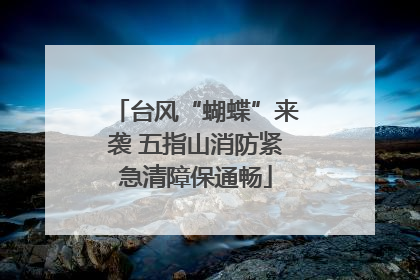 台风“蝴蝶”来袭 五指山消防紧急清障保通畅