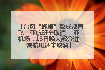 台风“蝴蝶”致成都直飞三亚航班全取消 三亚机场：13日晚大部分进港航班还未取消