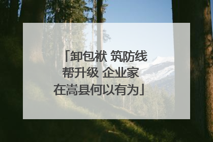 卸包袱 筑防线 帮升级 企业家在嵩县何以有为