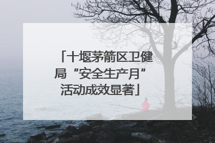十堰茅箭区卫健局“安全生产月”活动成效显著