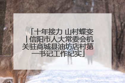 十年接力 山村蝶变│信阳市人大常委会机关驻商城县油坊店村第一书记工作纪实