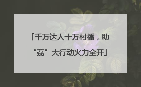 千万达人十万村播，助“荔”大行动火力全开