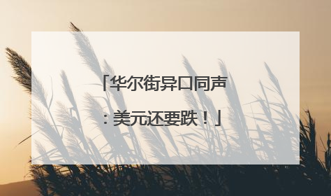 华尔街异口同声：美元还要跌！