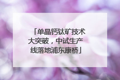 单晶钙钛矿技术大突破，中试生产线落地浦东康桥