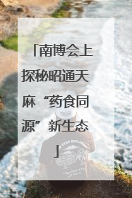 南博会上探秘昭通天麻“药食同源”新生态