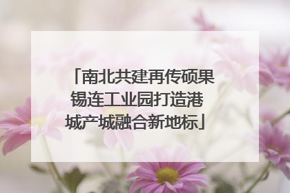 南北共建再传硕果 锡连工业园打造港城产城融合新地标