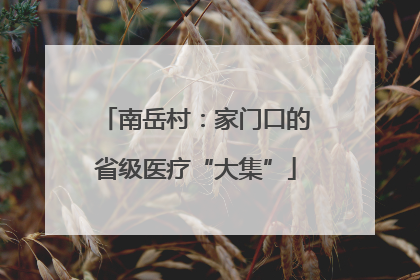 南岳村：家门口的省级医疗“大集”