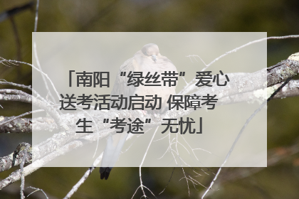南阳“绿丝带”爱心送考活动启动 保障考生“考途”无忧