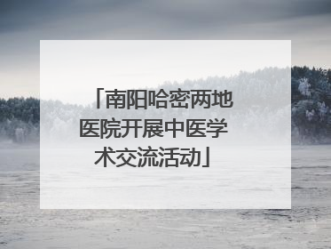南阳哈密两地医院开展中医学术交流活动