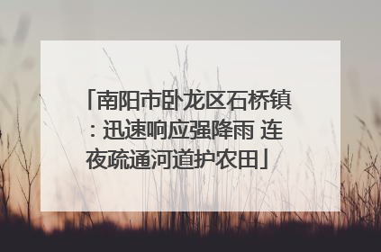南阳市卧龙区石桥镇：迅速响应强降雨 连夜疏通河道护农田
