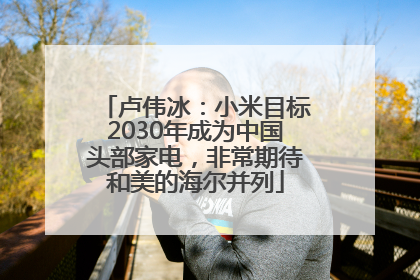 卢伟冰：小米目标2030年成为中国头部家电，非常期待和美的海尔并列