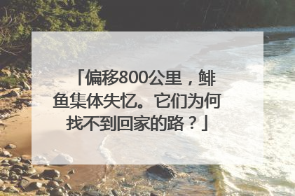 偏移800公里，鲱鱼集体失忆。它们为何找不到回家的路？