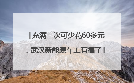 充满一次可少花60多元，武汉新能源车主有福了