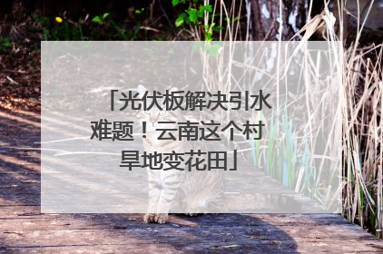 光伏板解决引水难题！云南这个村旱地变花田