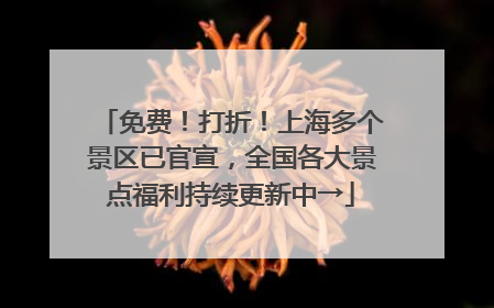 免费！打折！上海多个景区已官宣，全国各大景点福利持续更新中→