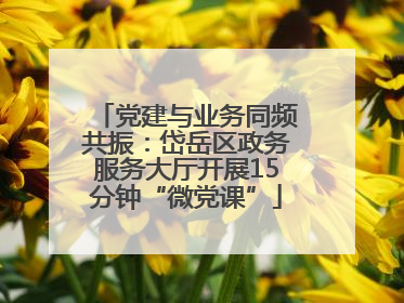 党建与业务同频共振：岱岳区政务服务大厅开展15分钟“微党课”