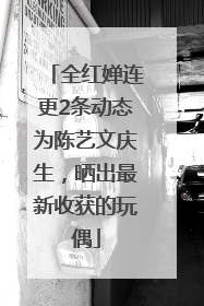 全红婵连更2条动态为陈艺文庆生，晒出最新收获的玩偶