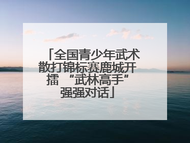 全国青少年武术散打锦标赛鹿城开擂 “武林高手”强强对话