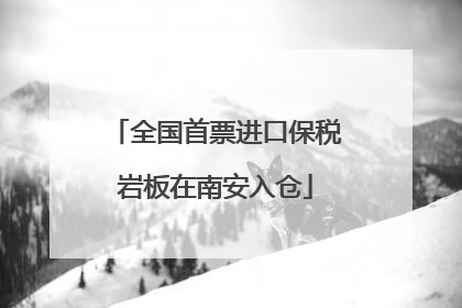 全国首票进口保税岩板在南安入仓