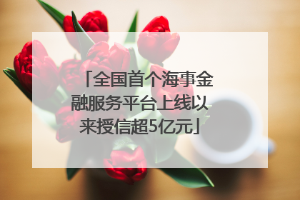 全国首个海事金融服务平台上线以来授信超5亿元