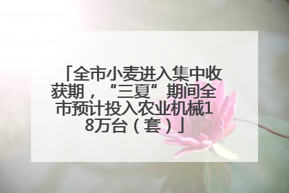 全市小麦进入集中收获期，“三夏”期间全市预计投入农业机械18万台（套）