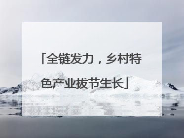 全链发力，乡村特色产业拔节生长