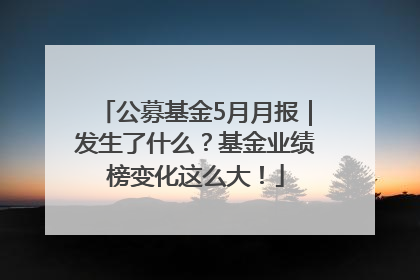 公募基金5月月报｜发生了什么？基金业绩榜变化这么大！