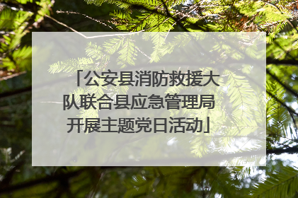 公安县消防救援大队联合县应急管理局开展主题党日活动