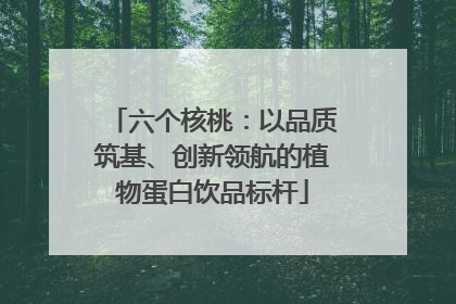 六个核桃：以品质筑基、创新领航的植物蛋白饮品标杆