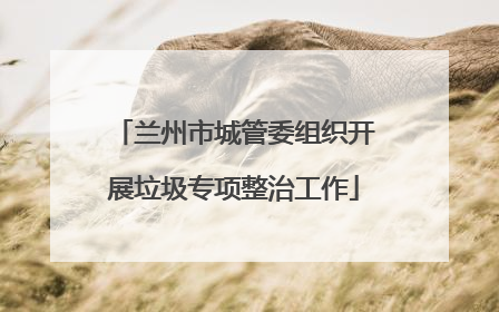 兰州市城管委组织开展垃圾专项整治工作