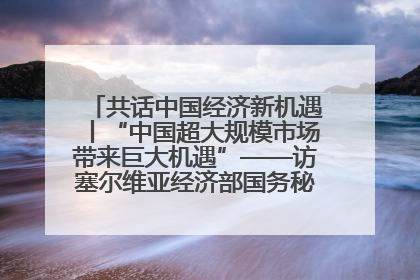共话中国经济新机遇丨“中国超大规模市场带来巨大机遇”——访塞尔维亚经济部国务秘书尼科利奇
