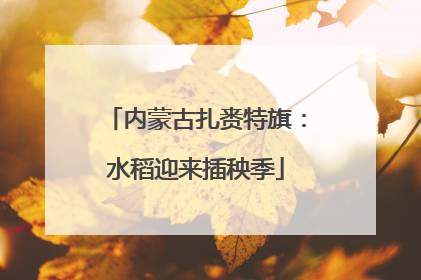 内蒙古扎赉特旗：水稻迎来插秧季