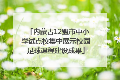内蒙古12盟市中小学试点校集中展示校园足球课程建设成果